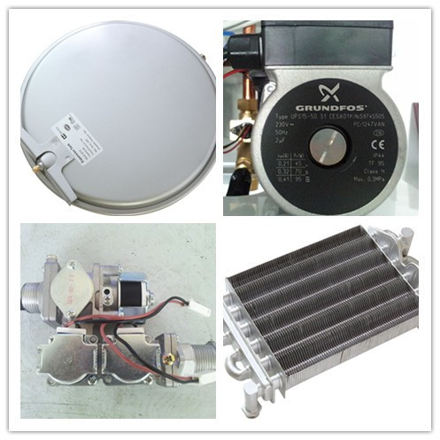 Color LCD Screen Wall Hung Combi Boilers 24000W For Hot Water