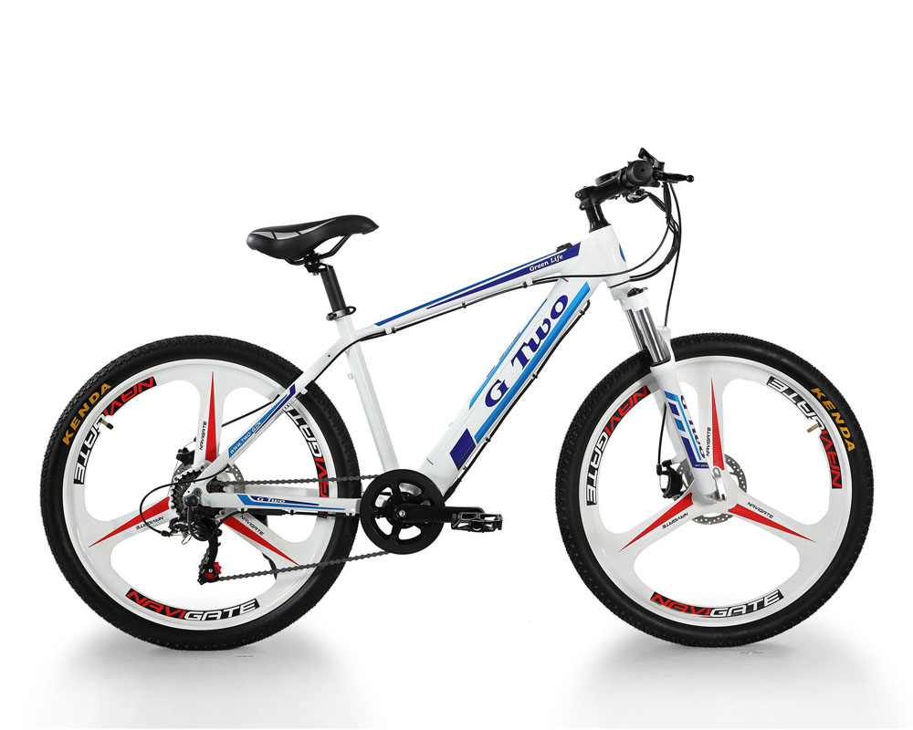 48V 10AH Lithium Battery Electric Bicycle 250W 350W Rear Front Disc Brake Mountain Bike