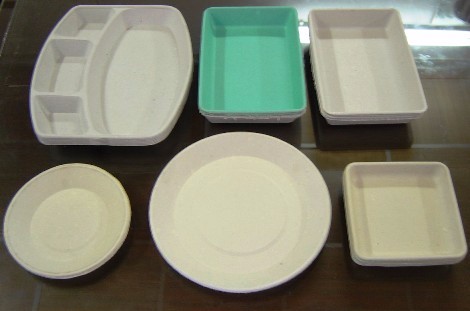 Electric Bagasse Pulp Plate Making Machine 440V Biodegradable Food Container Use