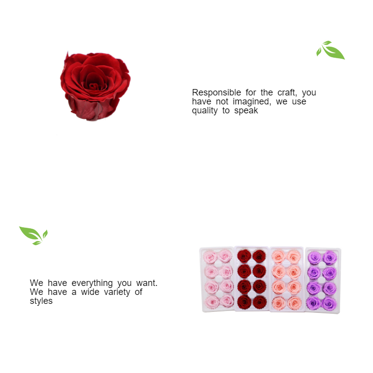 Indoor Decoration Beautiful Preserved Rose Heads Customized Color