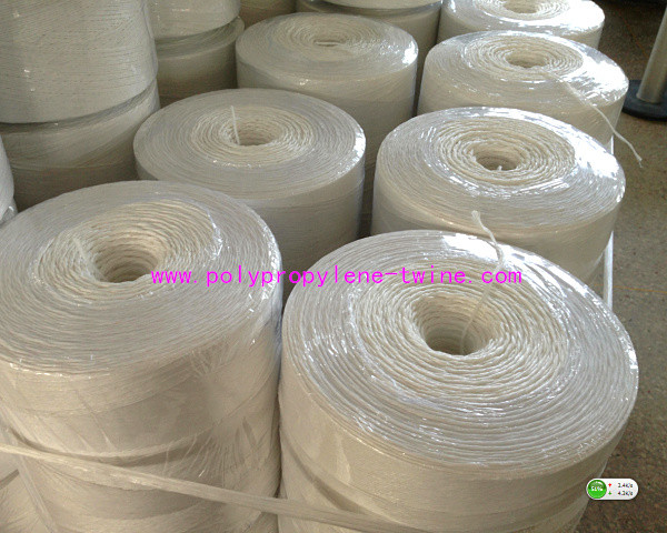 5kg/Spool 7500D 1200m/kg Virgin Polypropylene Tomato Tying Twine Rffia
