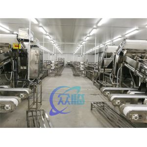 Shrimp processing fully automatic shrimp shelling line Shrimp impurity removal