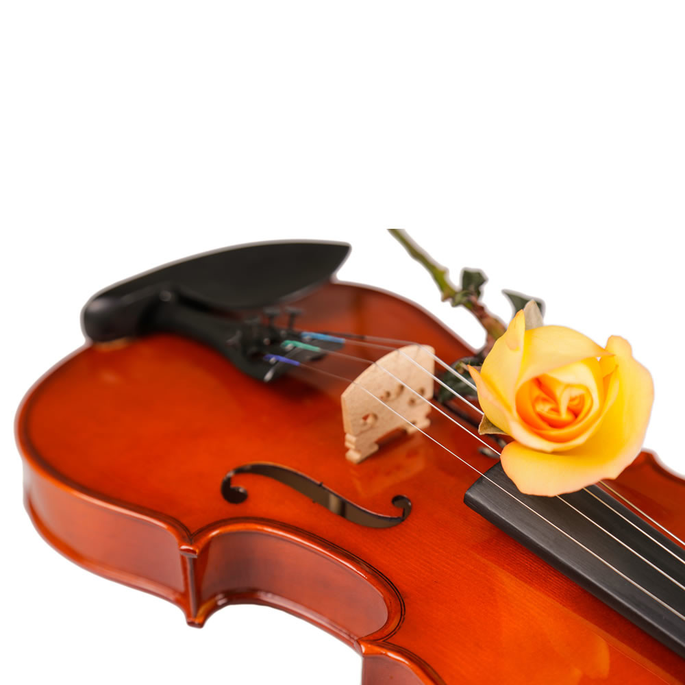 Good Sound Strings Instrument 4/4 or 3/4 Violin For Beginner Best Beginning Violin Book for Kids: Combining two popular