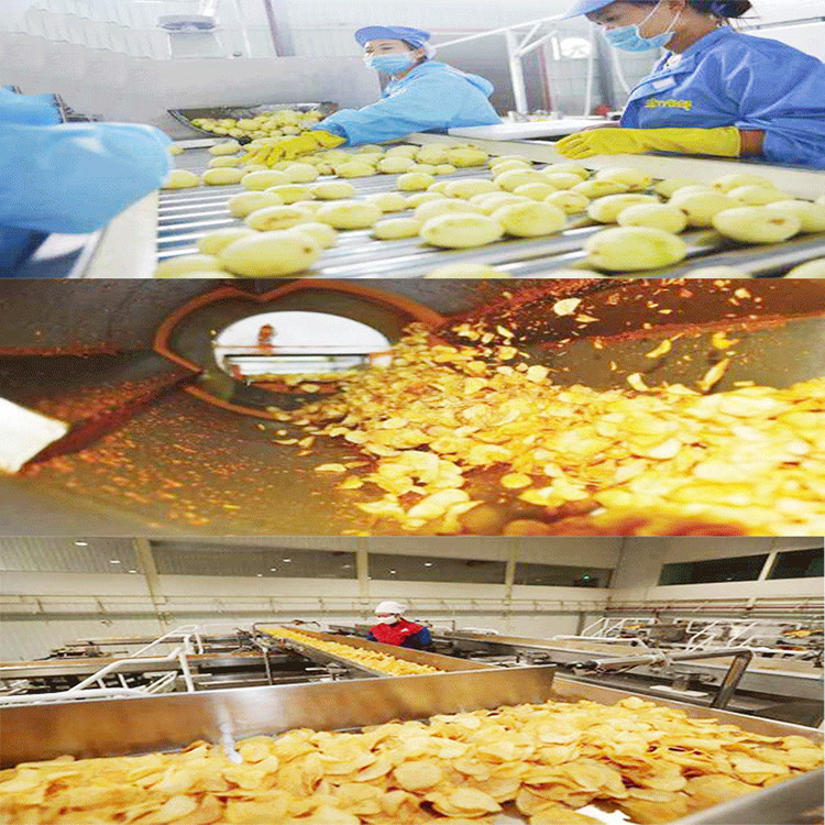2000kg/H Potato French Fries Making Machine Continuous