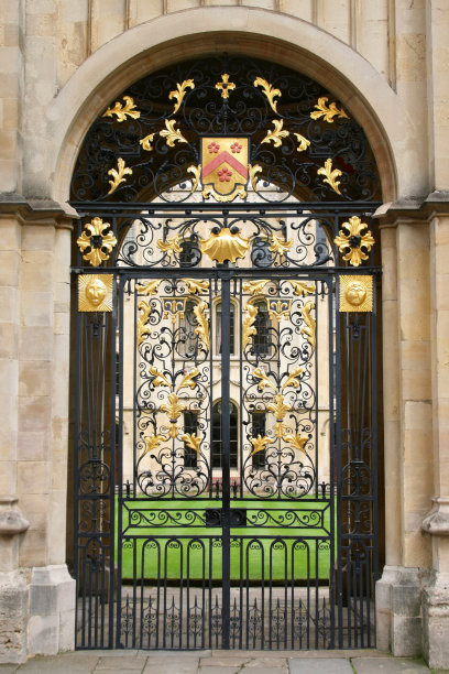 Black Courtyard Modern Metal Garden Gates Anti Corrosion Modern Stylish