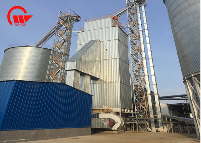 Say Goodbye to Traditional Sun-Drying Methods Switch to Our High-Efficiency Paddy Dryer Machine