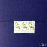 Customized Logo 31inch X 100ft Coloured Kraft Wrapping Paper