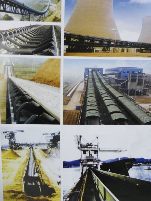Conveyor roller bearing housing application