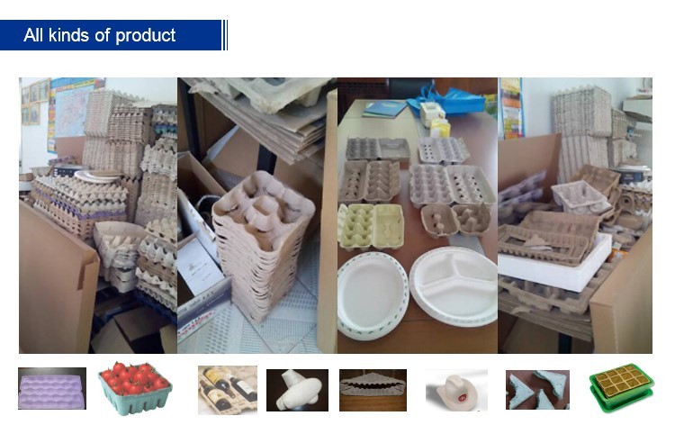 Recycled Waste Paper Egg Tray Making Machine For 4000pcs / H Capacity