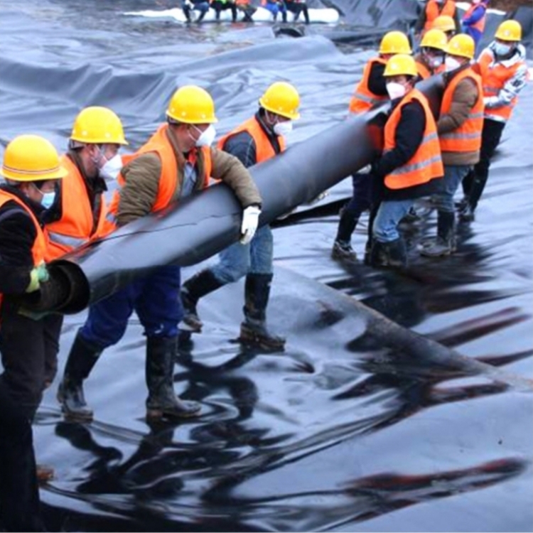 Outdoor Double Smooth Geomembrane for Fish Pond Liner and Landfill Sites Directly Sold