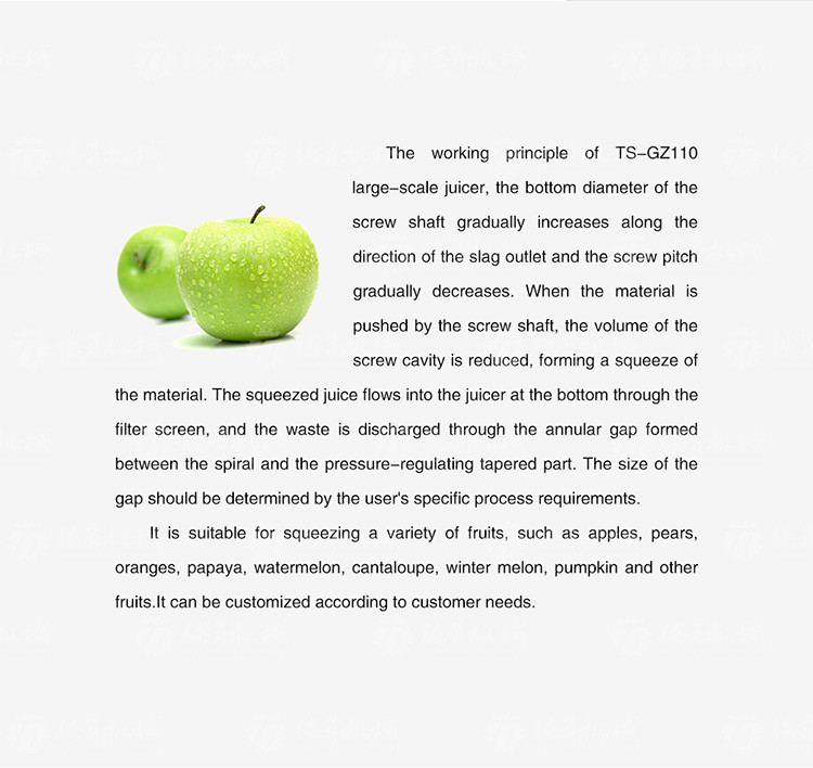 Fruit And Vegetable Juicer Single Screw Juicer Large Press