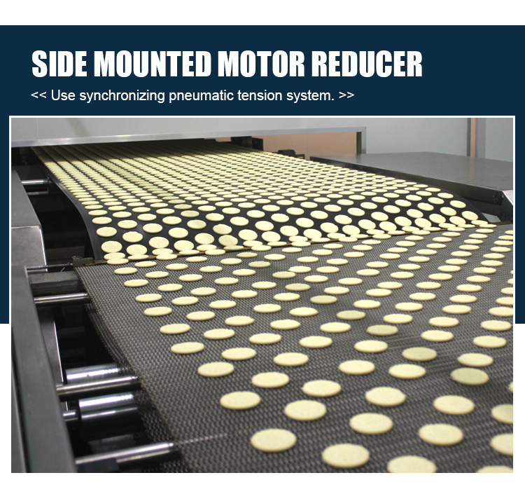 Electric Food Grade Biscuit Production Line Conveyor Belt Machine For Cookies