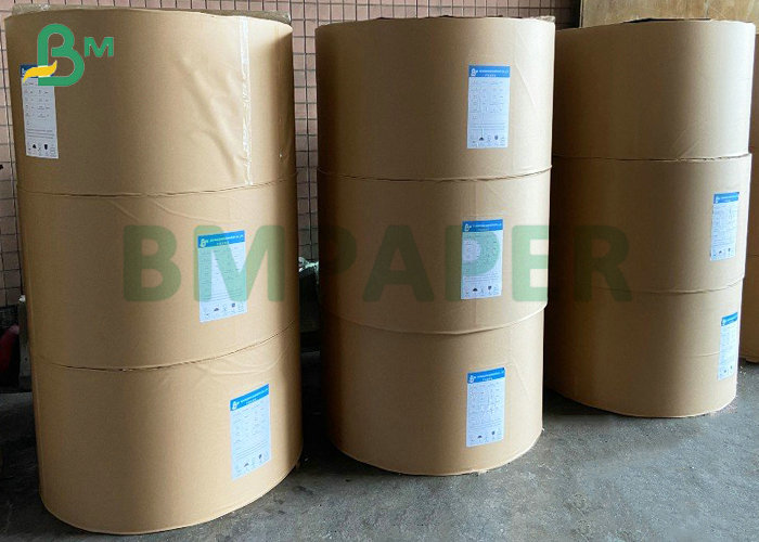 1S PE 260gsm Cup Stock Paper 240gsm + 20PE For Drinks Cup 886mm Jumbo Roll 