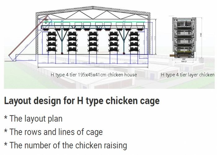 Environmental Friendly Poultry Cage Equipment Customized Size Management Easily