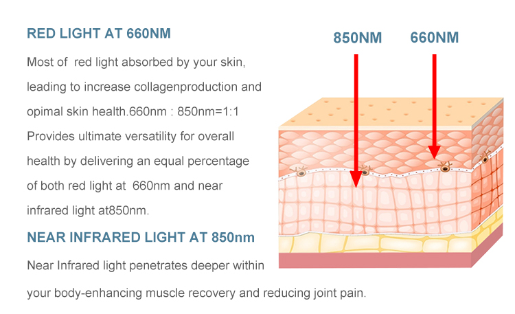 Home Red Light Therapy Device Table Stand Flicker Free Multiwave LED Light Beauty Equipment