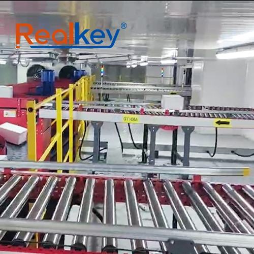 China User Friendly Pallet Roller Conveyors Box Conveyor System In Warehouse High Flexibility on sale China User Friendly Pallet Roller Conveyors Box Conveyor System In Warehouse High Flexibility on sale