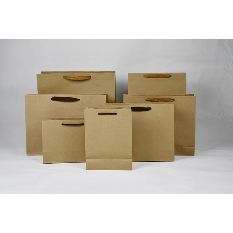 250g 300g Eco Friendly Paper Shopping Bag With Twised Handle