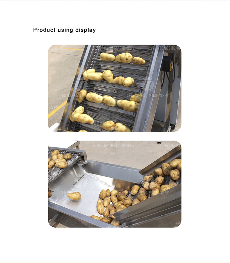 380V Vegetable Processing Machine Automatic Elevator Food Conveying