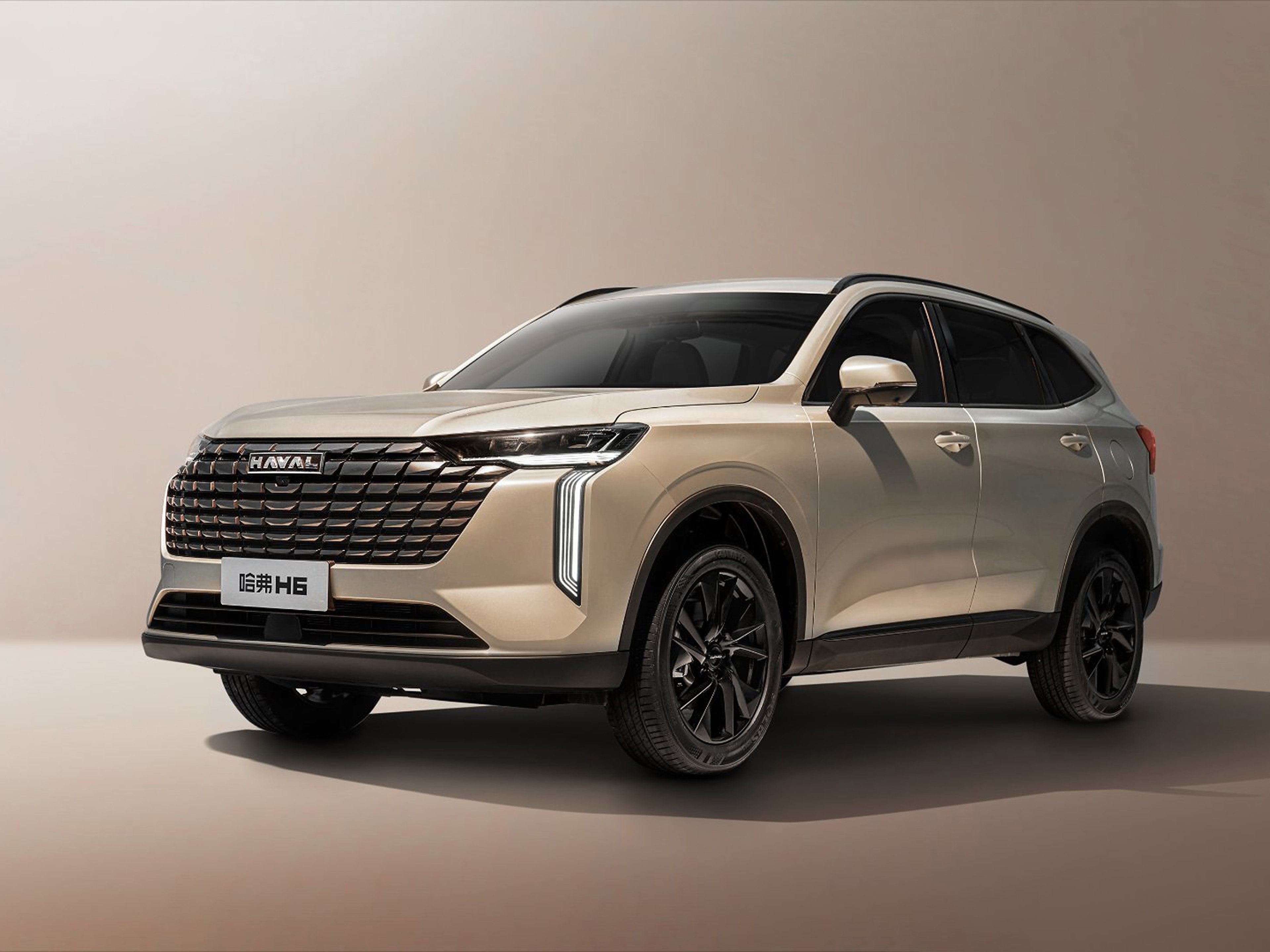 Haval H6 5-Seater Gasoline Car SUV Vehicles For Family Use And Travel Hotsale Used Gasoline Car