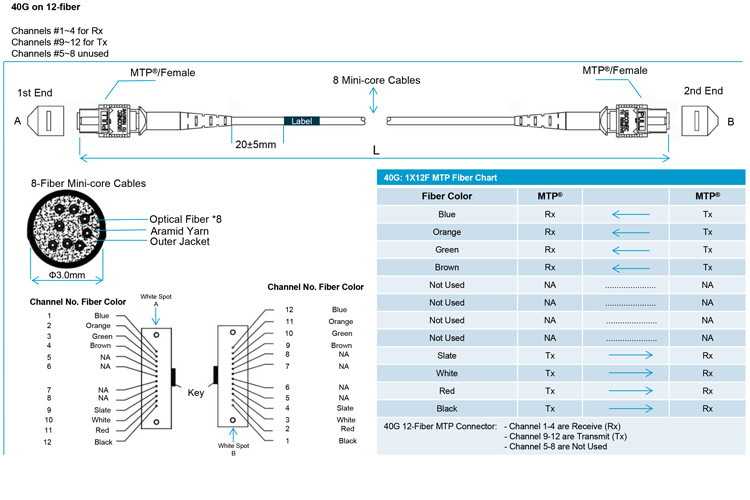OS2 OM3 OM4 OM5 SM MM 8F 12F 24F Elite Loss MPO MTP patchcord