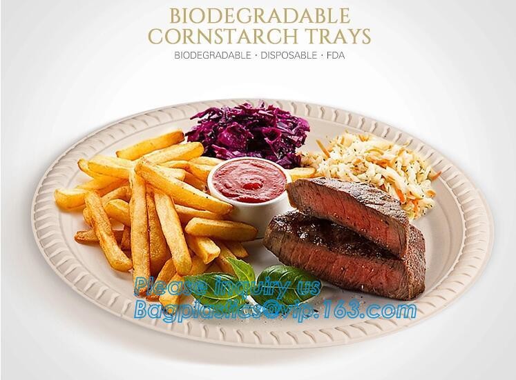 Meal Prep Containers Free Sample Bento Lunch Box Biodegradable Food Container Plastic Wheat Straw Lunch Box bagplastics