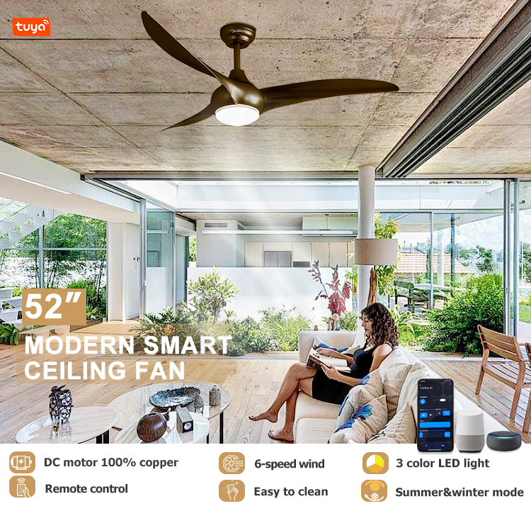 1stshine/OEM Logo Ceiling Fan Light with Remote Control and Smart APP 6 Speeds 3 Blades