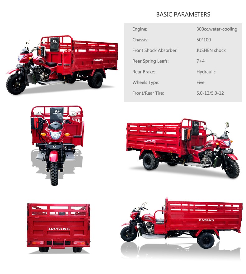 Certified Alibaba Gold 5 Wheels Petrol Motorized Cargo Tricycle with High Payload Capacity