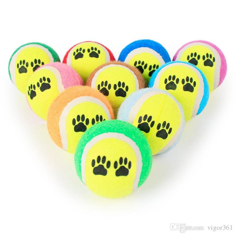hign quality low cost pet tennis ball