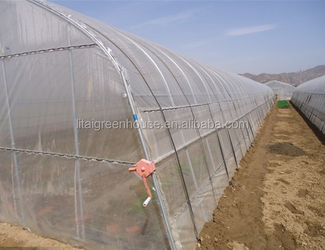 Large Height 3-10m Polytunnel Greenhouse The Ideal Growing Environment for Your Crops