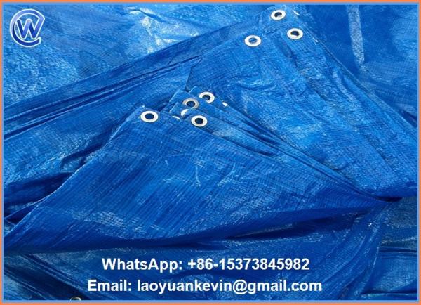 Quality Hot Selling PE tarpaulin Sheets for truck cover,curtain,awing for sale