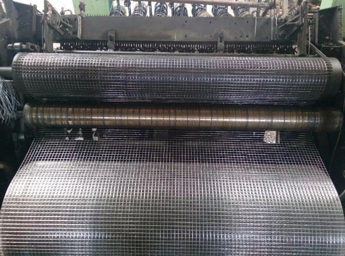 welded wire mesh rolls