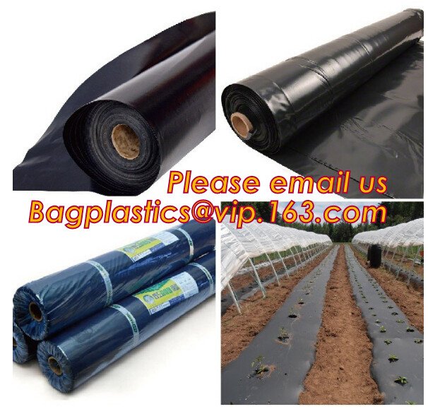 Transparent / Black / Silver / White color Plastic PE LDPE Agriculture Mulching Film,panda strawberry mulch film/black w