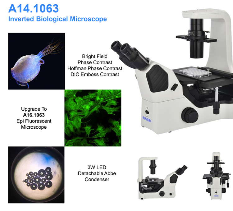 OPTO EDU A14.1063 Inverted Optical Microscope , Phase Contrast Microscope Magnification 4x