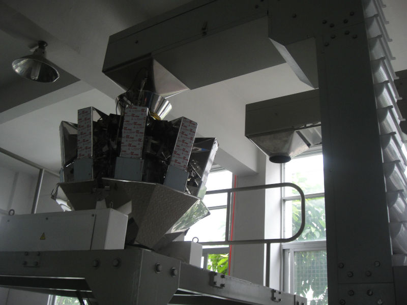China fruit chips/preserved fruit packaging machine automatic packaging production line