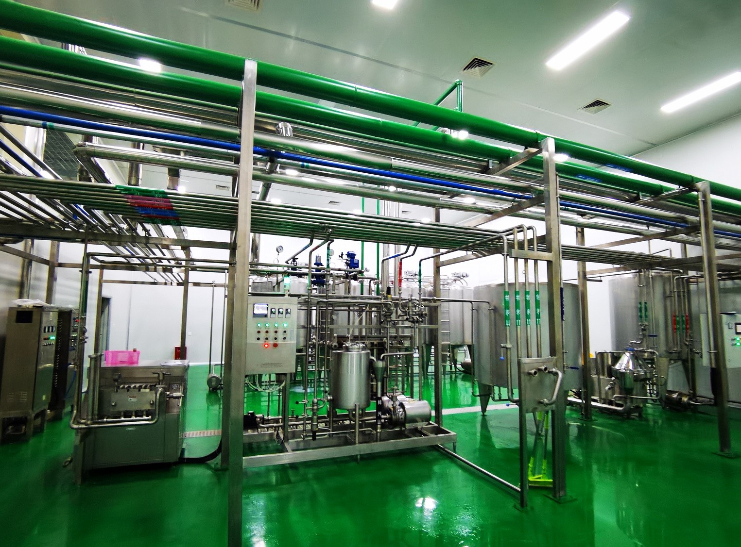 Customized Stainless Steel Food Grade Mango Juice Processing Machine Line