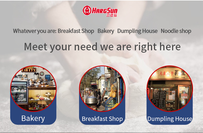 2200w Heavy Duty Dough Mixer Electric 50kg Bread Flour Mix Dough Kneading Machine
