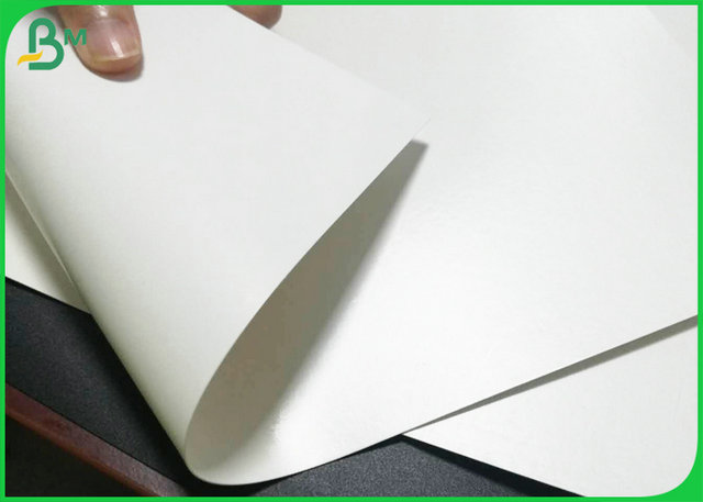 FDA Certified PE Coated Board 300gr 350gr Greaseproof For Making Lunch Box