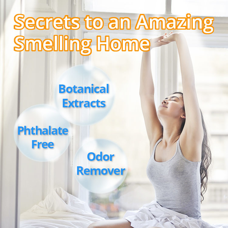 Eco Friendly Bottle Air Freshener Luxury Home Luxury Sleep Scent Room Mini Perfume Bottles