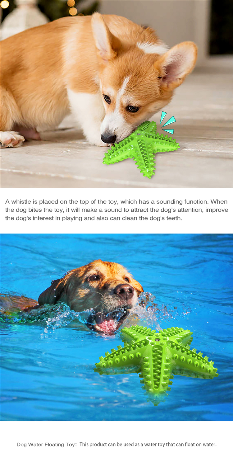 Natural Rubber New Design Starfish Shape Dog Chew Toy Dental Cleaning Toothbrush Squeaky Toy Yellow Green Blue