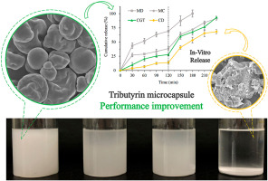 Food Grade Tributyrin CAS 60-01-5 for Optimal Food Product Performance