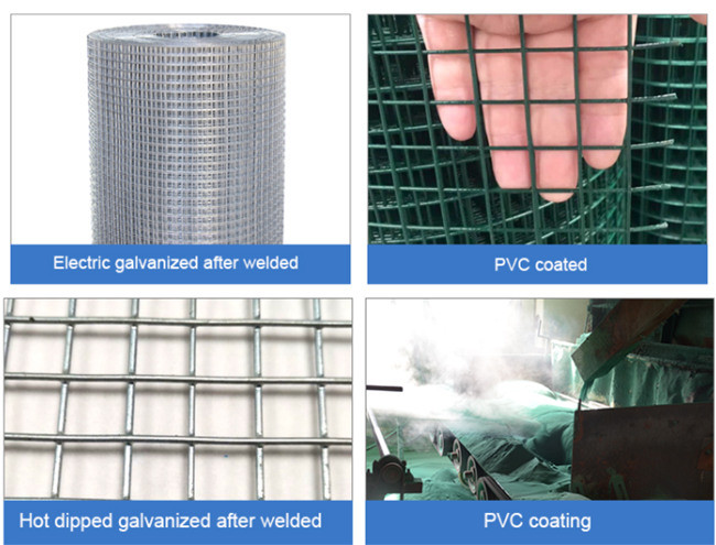 2.9×2m HDG Welded Wire Mesh Panels 270g/M2