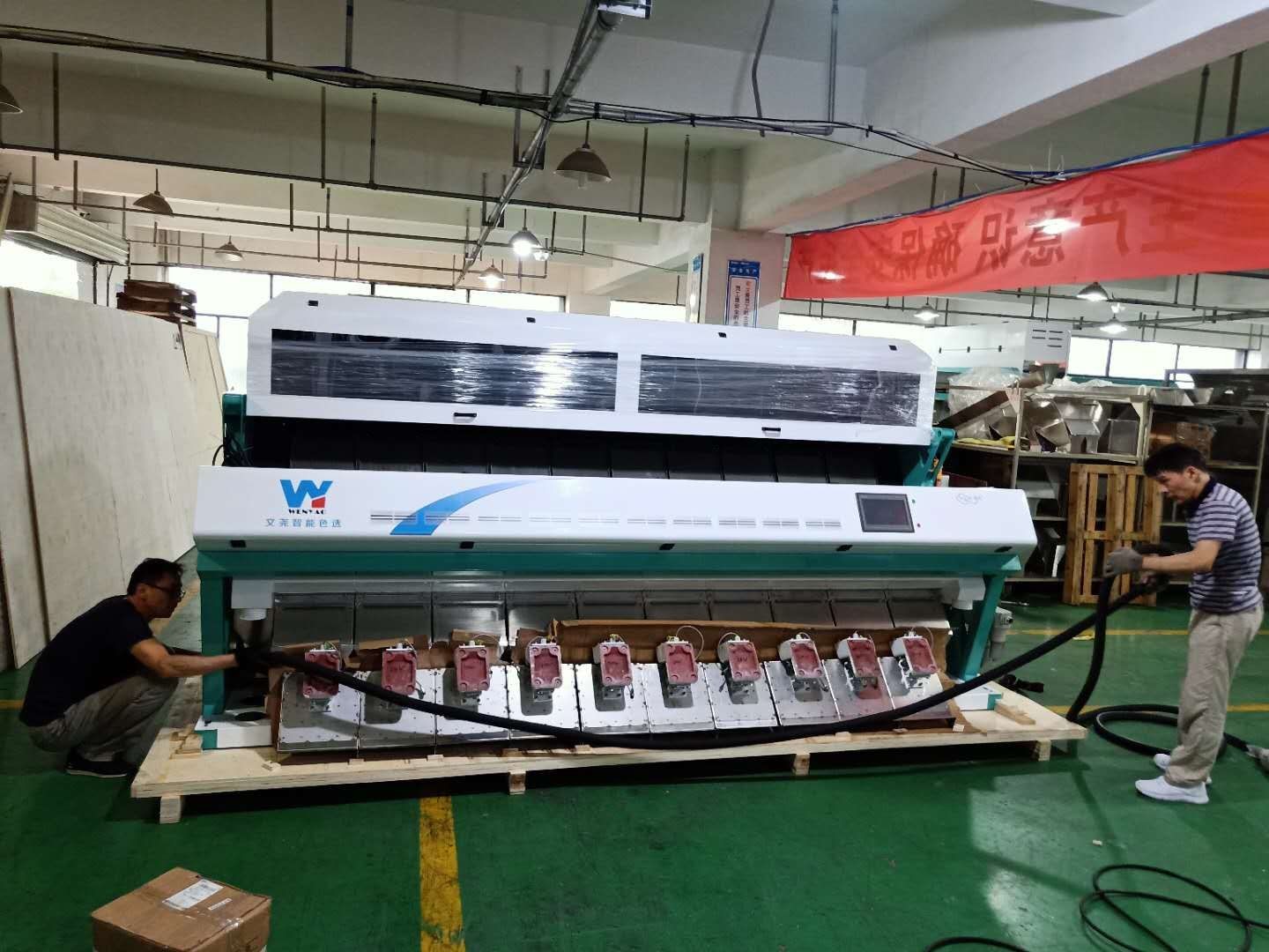 Peeled Peanuts Nuts Color Sorter With CCD LED Automatically