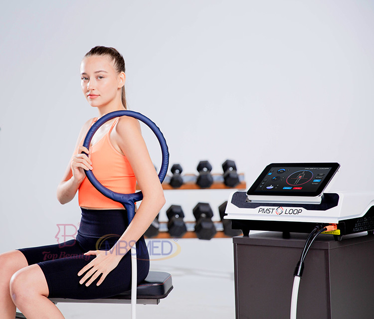PMST PEMF Loop Pulsed Electromagnetic Field Magneto Therapy Device