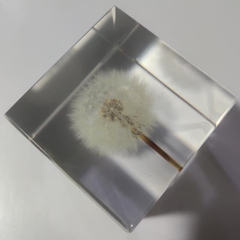 2.7" Resin Flower Paperweight 3D Dandelion Paperweight