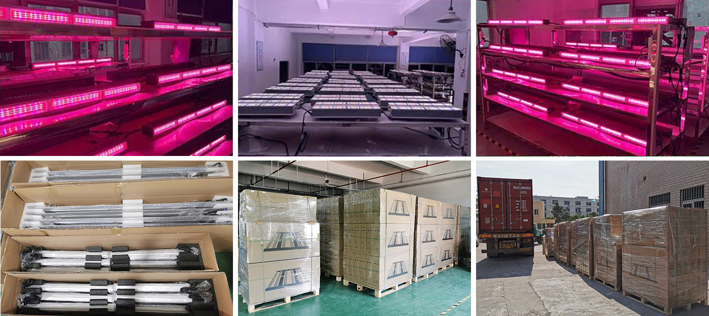 1000W LED Grow Light Full Spectrum PPE 2.8 Gold Heat Sink Width Board Light Bar Grow Light Commercial