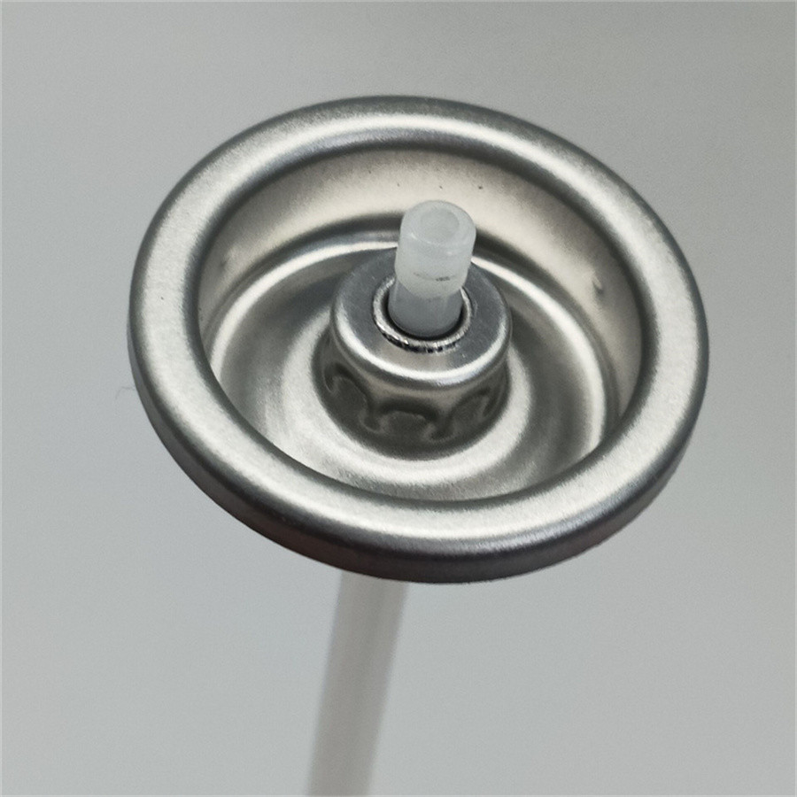 Eco-Friendly Dry Shampoo Spray Valve for Green Salons with Sustainable Design