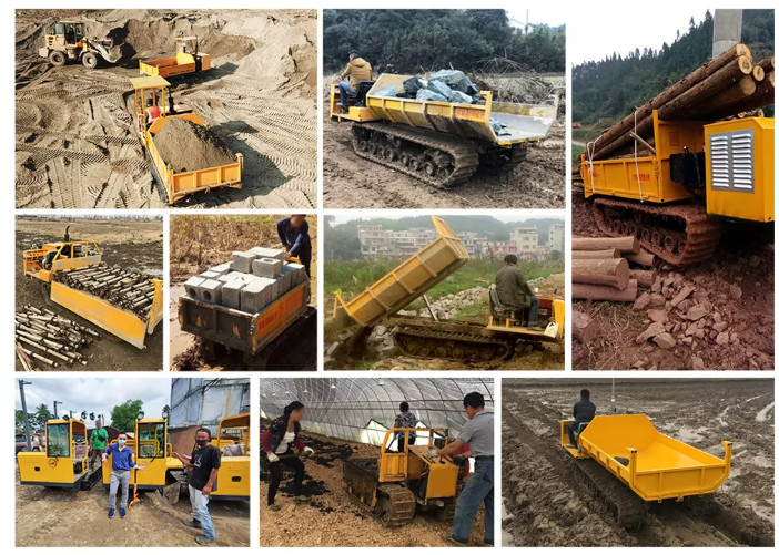 1MT Loading Capacity Crawler Mini Crawler Electric Start Rubber Tracked Transporter For Farming