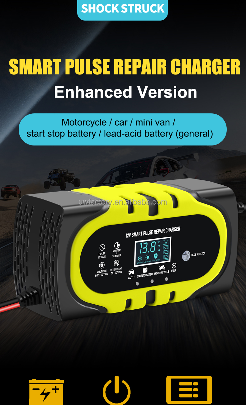 Automatic Maintainer 12V10a 12v20a 12v 30a Smart Charging Pulse to Repair Battery Charger with Overcurrent Protection