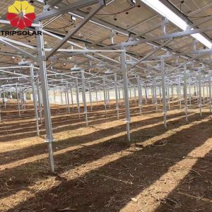 Ground Mounted Solar Module Mounting Structure Snow Load 1.5KN/m2 and Wind Load