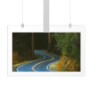 700 Nits Hanging Transparent LCD Screen 55inch OLED Double Sided Digital Display